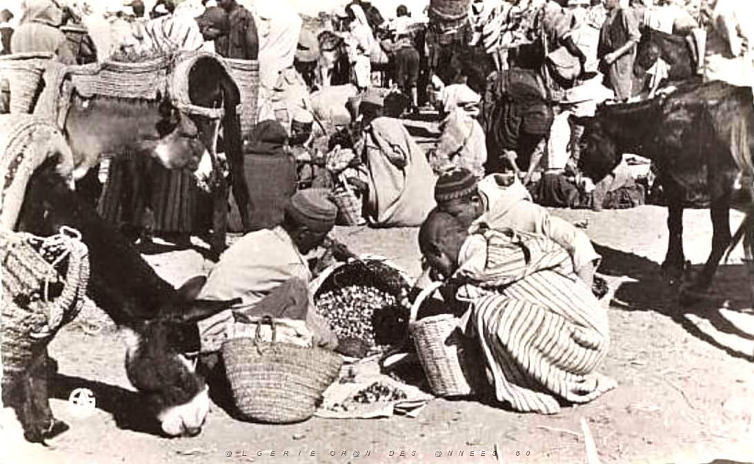 Images d'Algerie 133.jpg